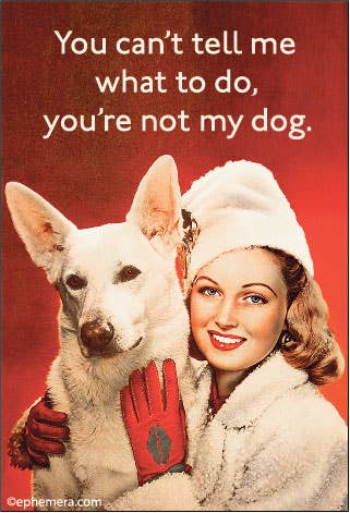 Woman in winter clothing holding a dog with text on a red background. You can't tell me what to do , you're not my dog.