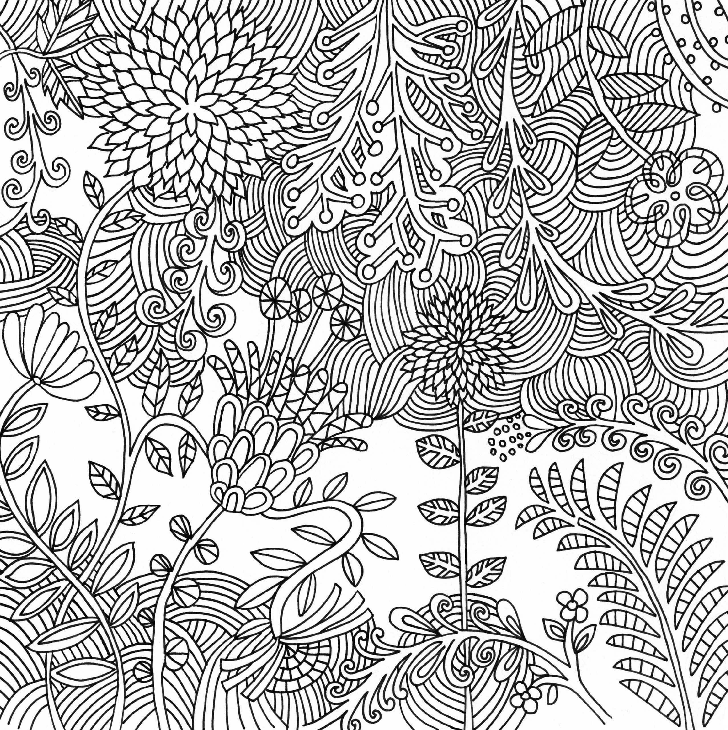 Intricate black and white line art featuring floral and leaf patterns. Swirling, geometric designs create a complex and calming composition.