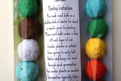 Colorful seed balls in clear packaging beside instructions. Colors include white, blue, brown, green, purple, yellow, red. Labels list wildflowers and planting tips.