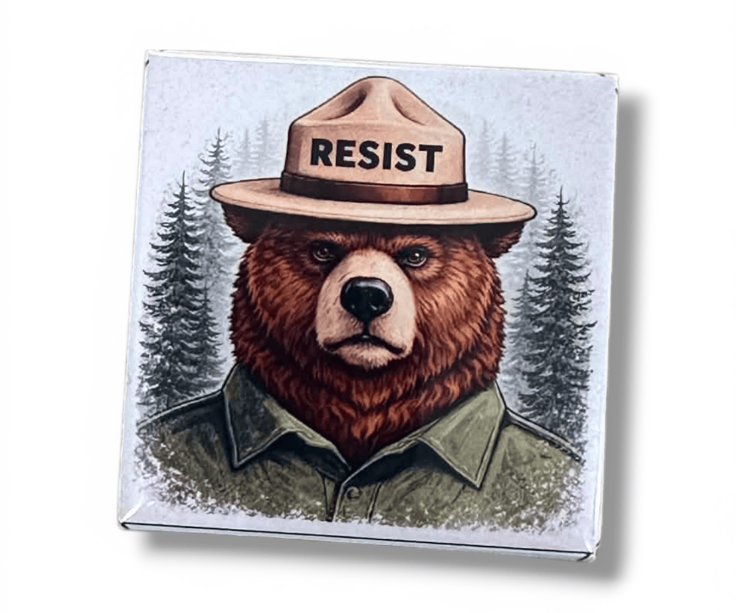 Bear wearing a hat with 'RESIST' text against a forest background