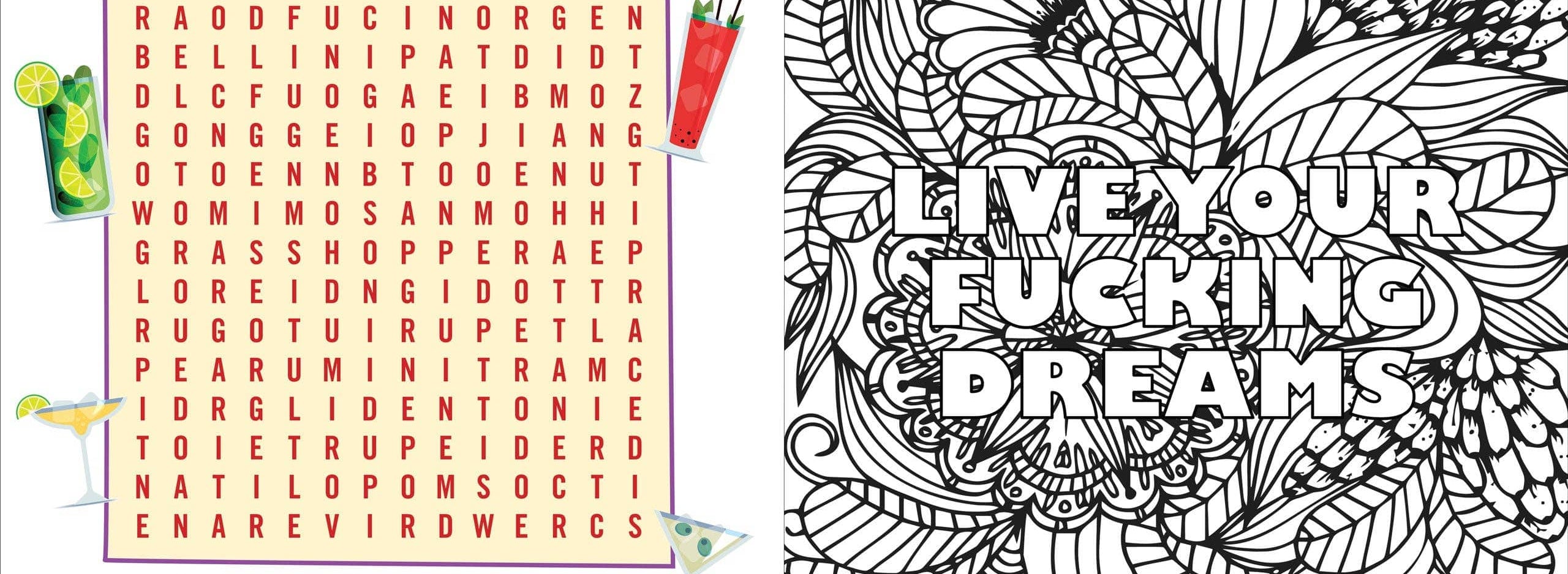 Left page: A cocktail-themed word search puzzle with playful, irreverent text instructions and images of cocktails. Right page: An intricate black and white floral pattern with bold text, "Live Your Fucking Dreams," encouraging motivation and creativity.