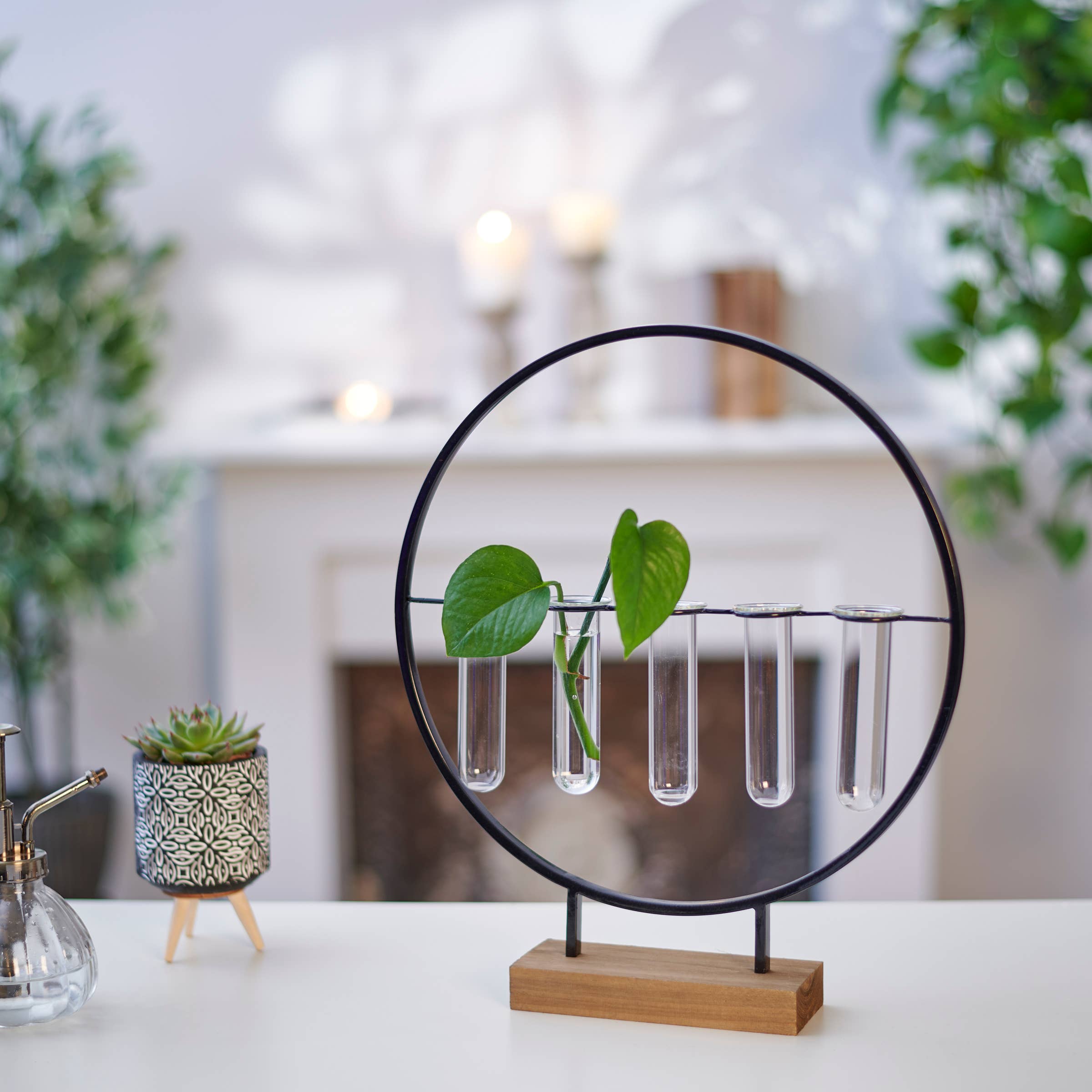 Modern plant holder with test tubes and green leaves on a wooden base, set on a white table. Background includes a succulent, misters, and blurred candles, conveying a serene, stylish atmosphere.