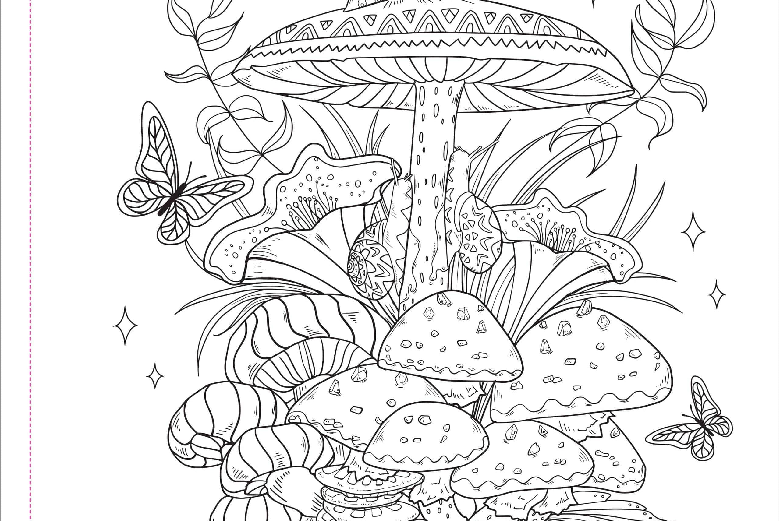 Intricate black and white drawing of mushrooms, plants, and butterflies. A snail rests on a mushroom, creating a whimsical, nature-inspired scene.