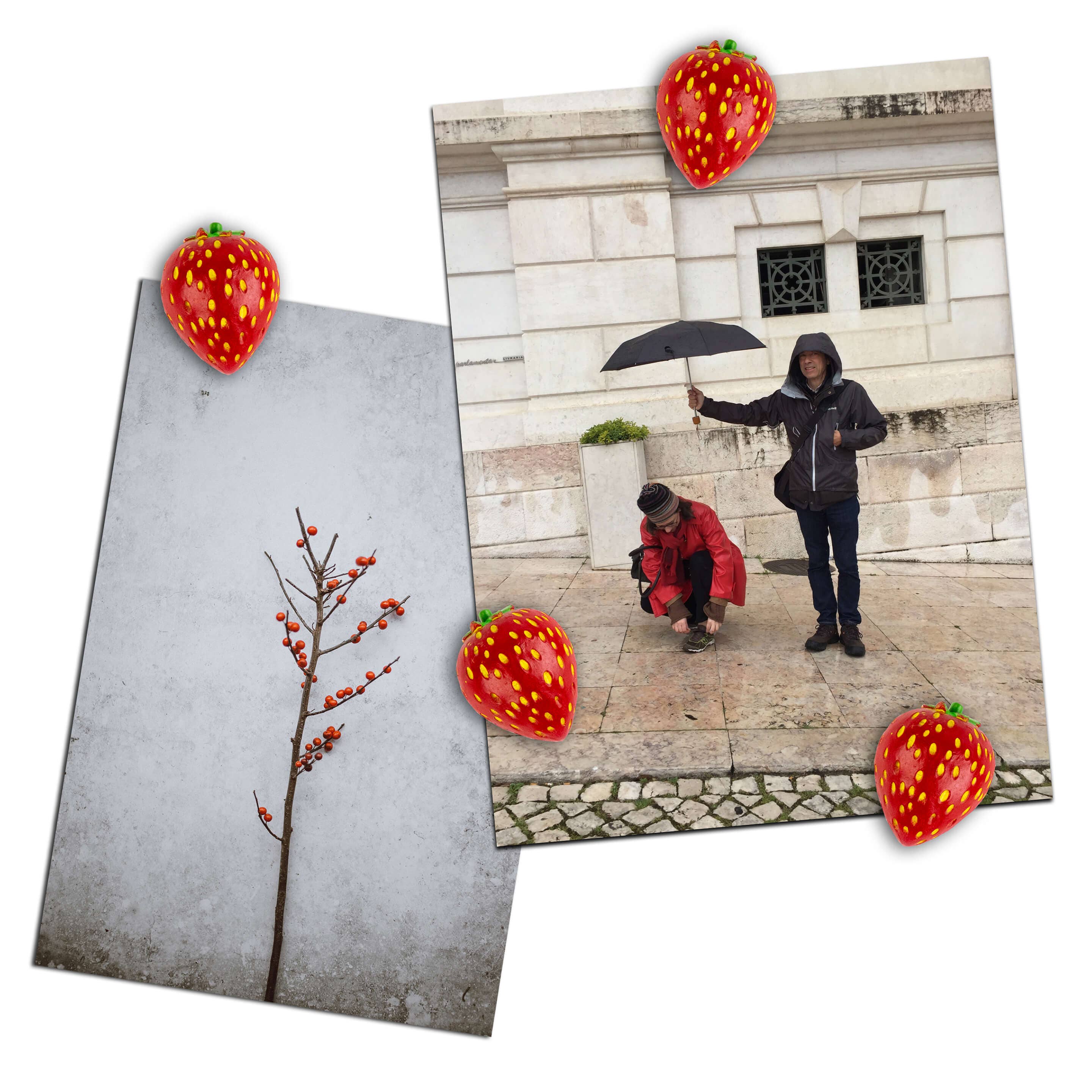 Two photographs with added strawberry graphics on a white background