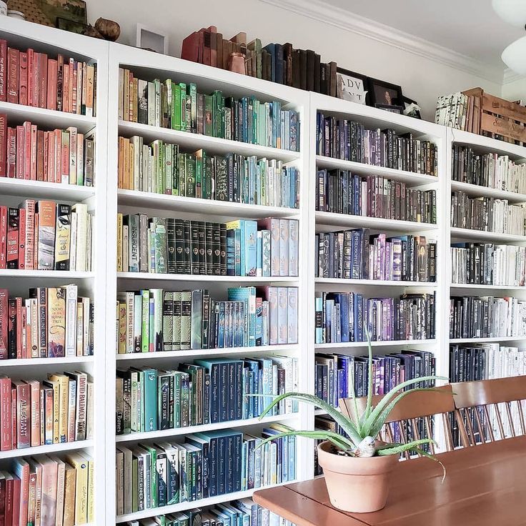 Rainbow colored bookcase