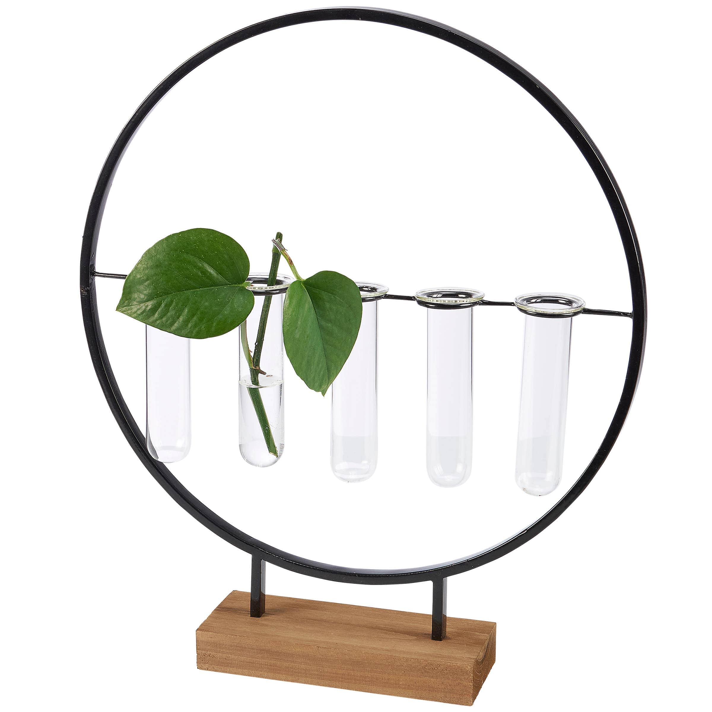 A modern glass test tube vase holder shaped like a black circle with five tubes, one holding a green plant cutting, sits on a wooden base. Minimalist design.