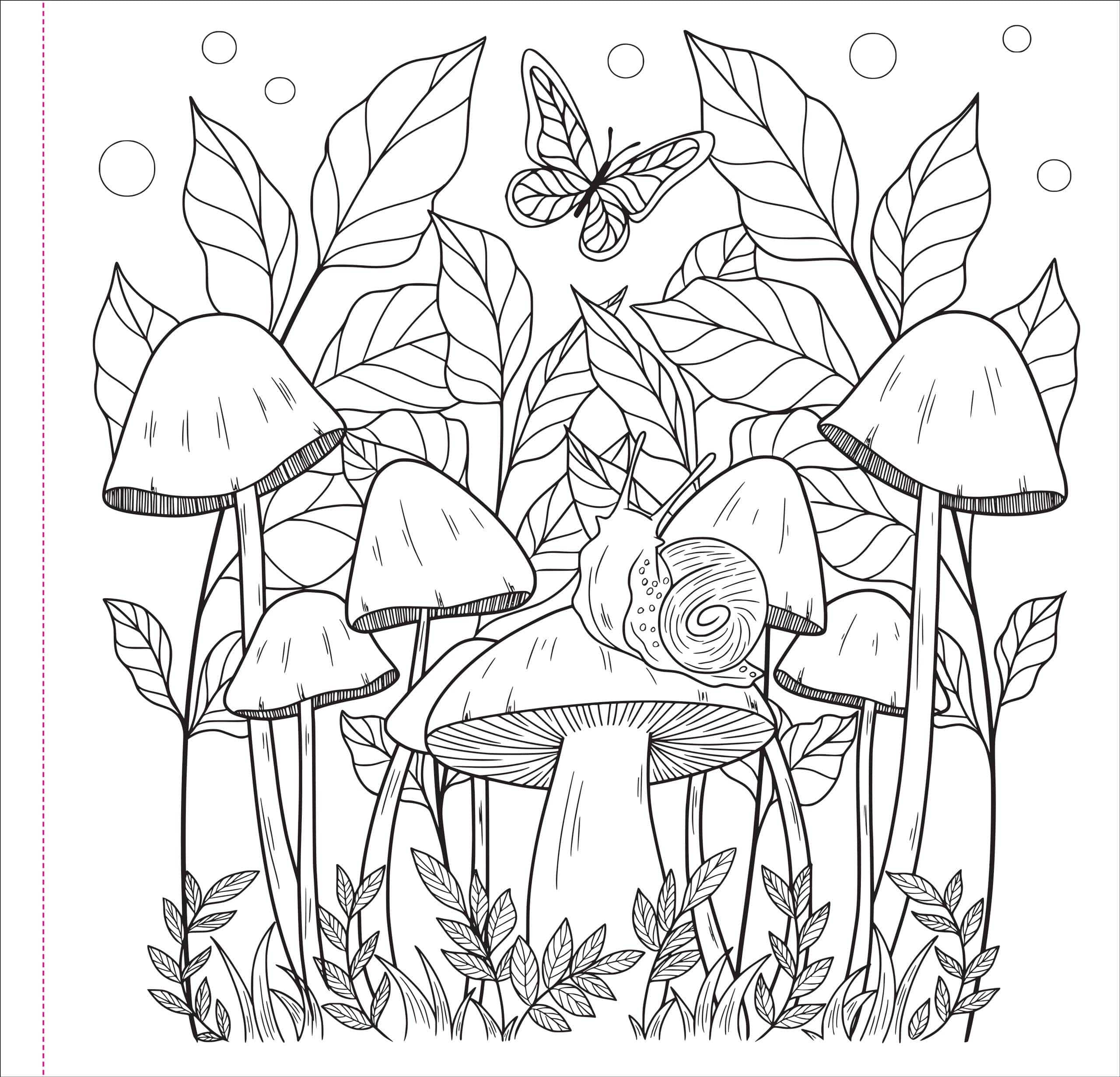Line drawing of a forest scene with tall mushrooms, a snail on one mushroom, leafy plants, and a butterfly flying above. Calm, natural atmosphere.