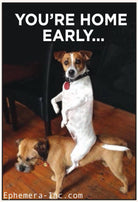 Two dogs on a wooden floor with one riding the other like an horse and text above it that says, “you’re home early…”