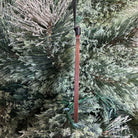 Rebel Loon engraved wood ornament hanging by a black ribbon on a Christmas tree