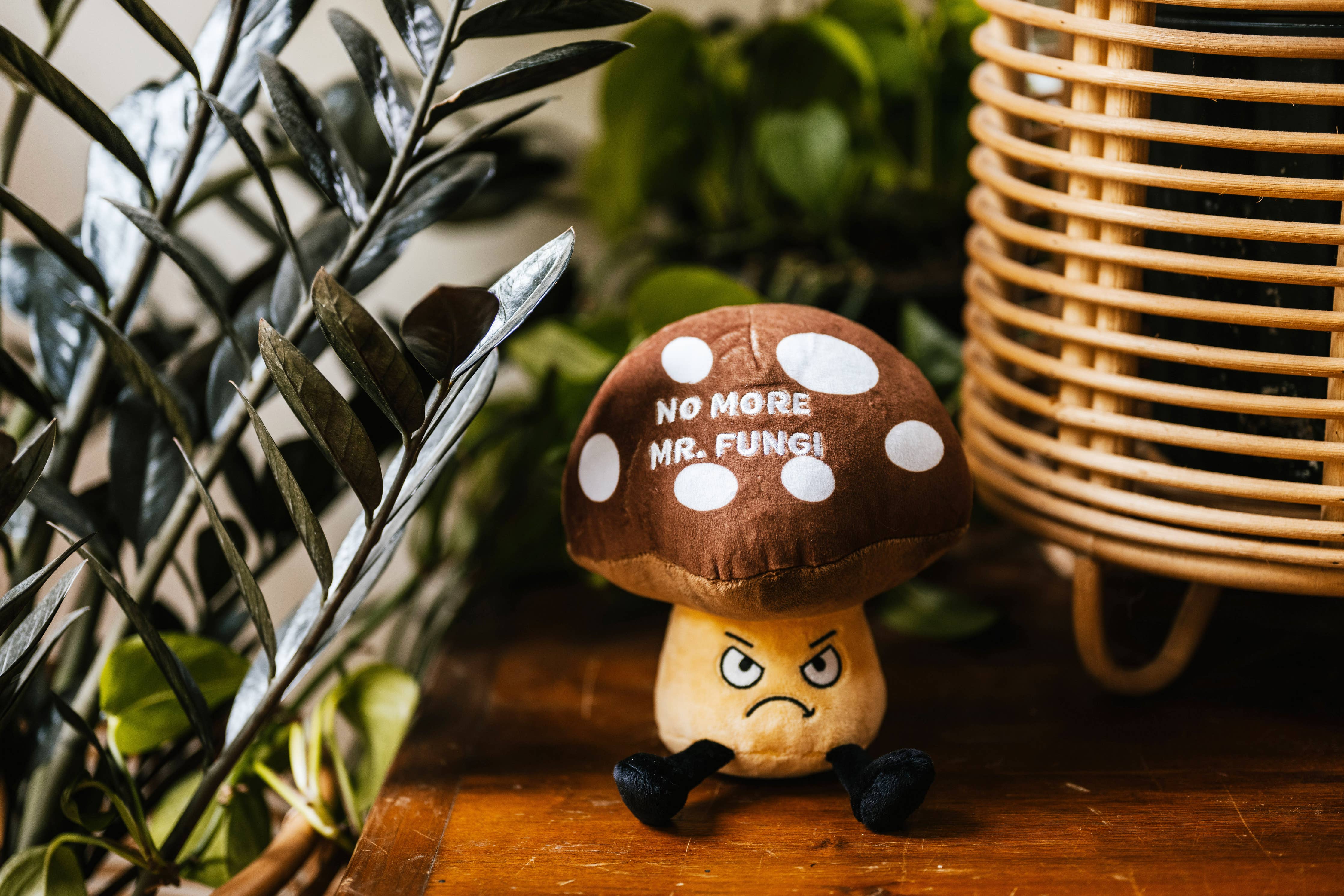 An angry mushroom plush with a puffy cap and dangly legs. The mushroom has angry eyes and a frown, looking ready to throw its morels out the window. Its cap features brown and white polka dots, with white text that says "No more Mr. Fungi." The plush has a fun and humorous design, making it perfect for mushroom lovers and collectors.