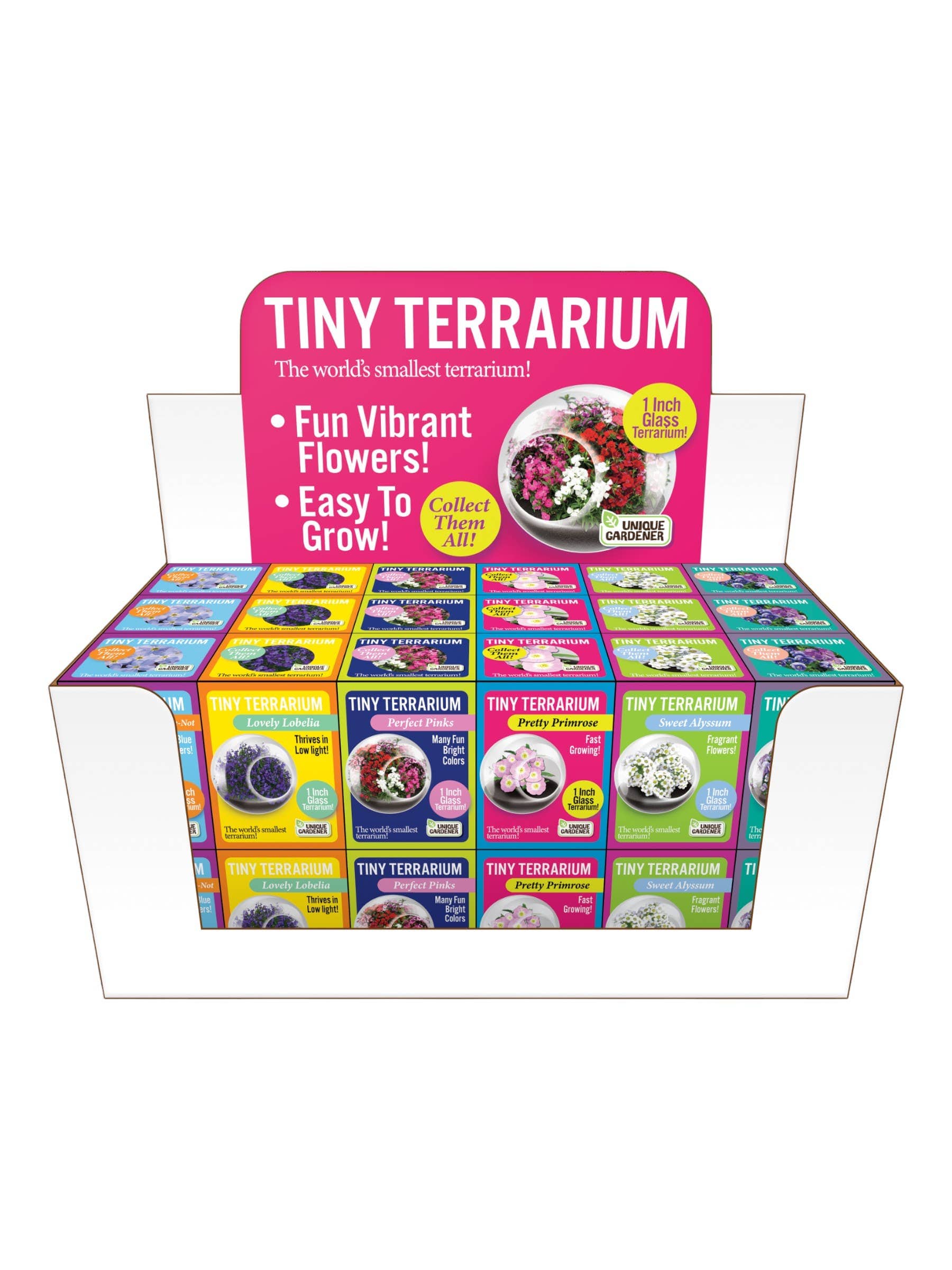 Display of "Tiny Terrarium" kits in a colorful, organized layout. Prominent text highlights "Fun Vibrant Flowers" and "Easy To Grow!" with various box designs.