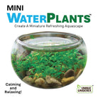 A clear glass bowl filled with vibrant green water plants and small rocks. Text: "Mini Water Plants - Create A Miniature Refreshing Aquascape." Tone is calming and relaxing.