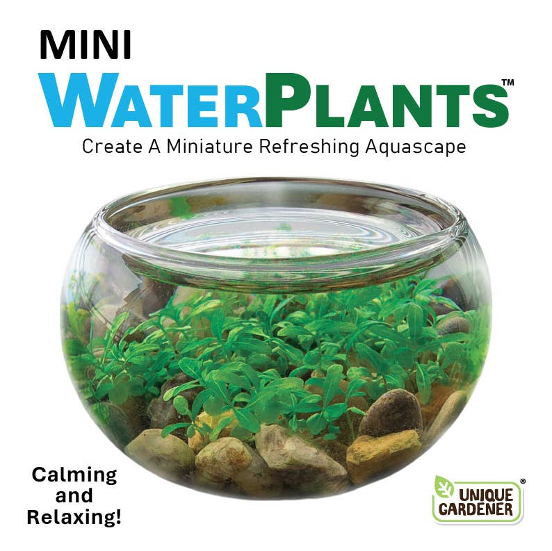 A clear glass bowl filled with vibrant green water plants and small rocks. Text: "Mini Water Plants - Create A Miniature Refreshing Aquascape." Tone is calming and relaxing.