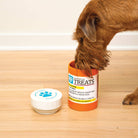 A brown dog's muzzle is inside an orange container labeled "Prescription Treats." The lid is nearby on a wooden floor. The scene is playful and lighthearted.