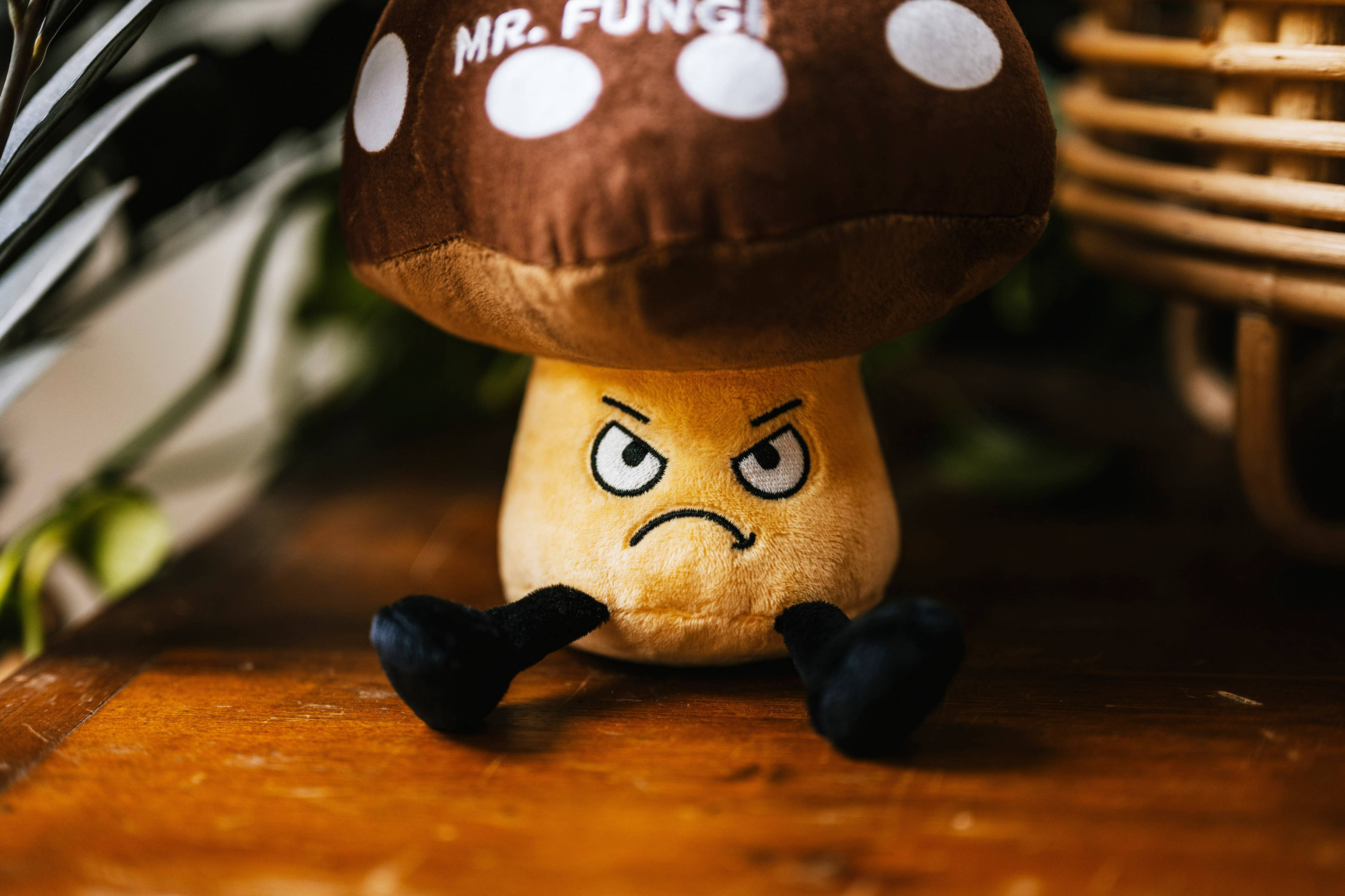 An angry mushroom plush with a puffy cap and dangly legs. The mushroom has angry eyes and a frown, looking ready to throw its morels out the window. Its cap features brown and white polka dots, with white text that says "No more Mr. Fungi." The plush has a fun and humorous design, making it perfect for mushroom lovers and collectors.