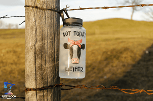 Not Today Heifer Water Bottle | 34oz