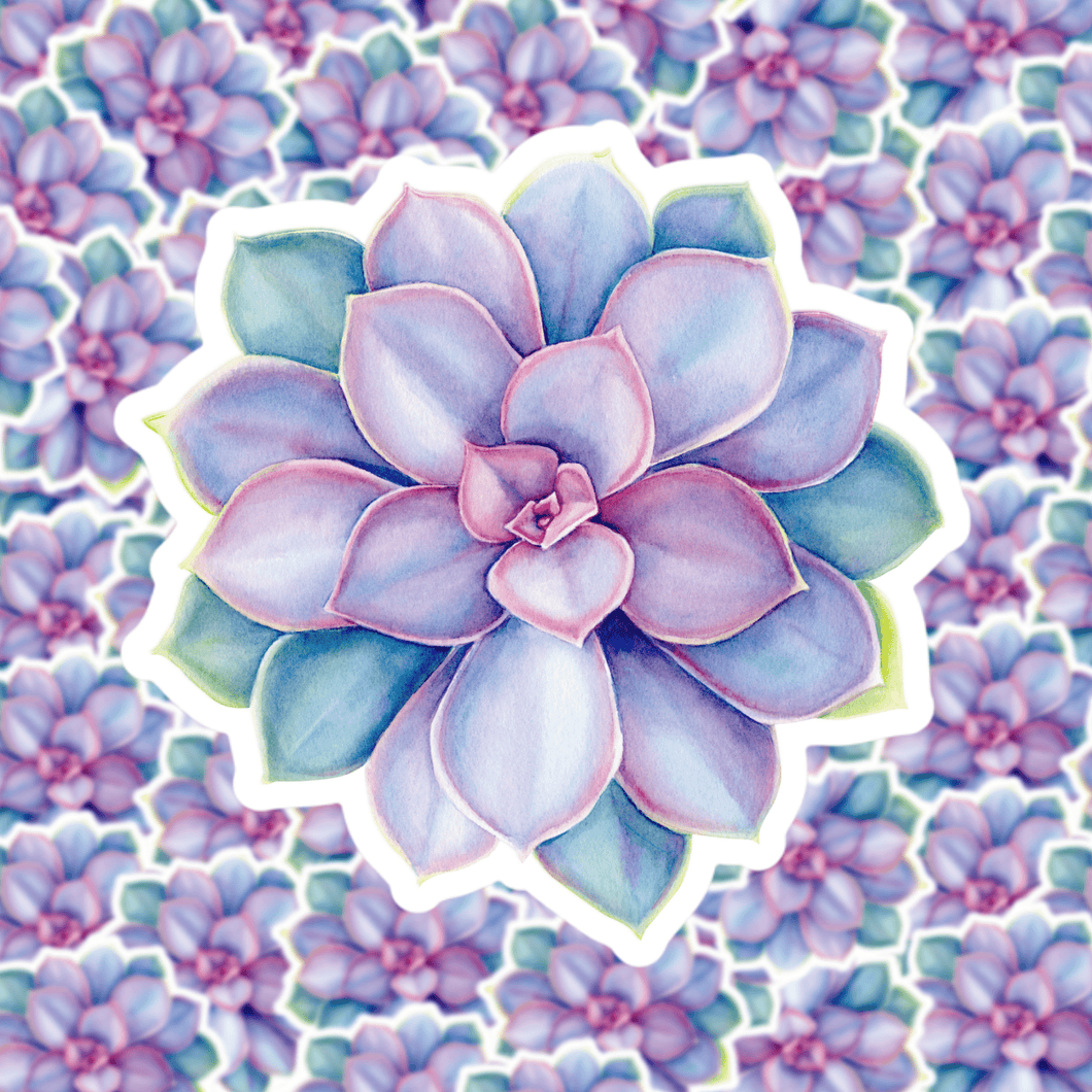 Watercolor Succulent Sticker